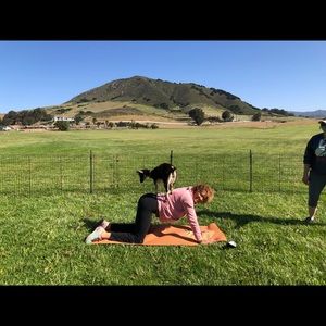 Meet your Posher, Traci